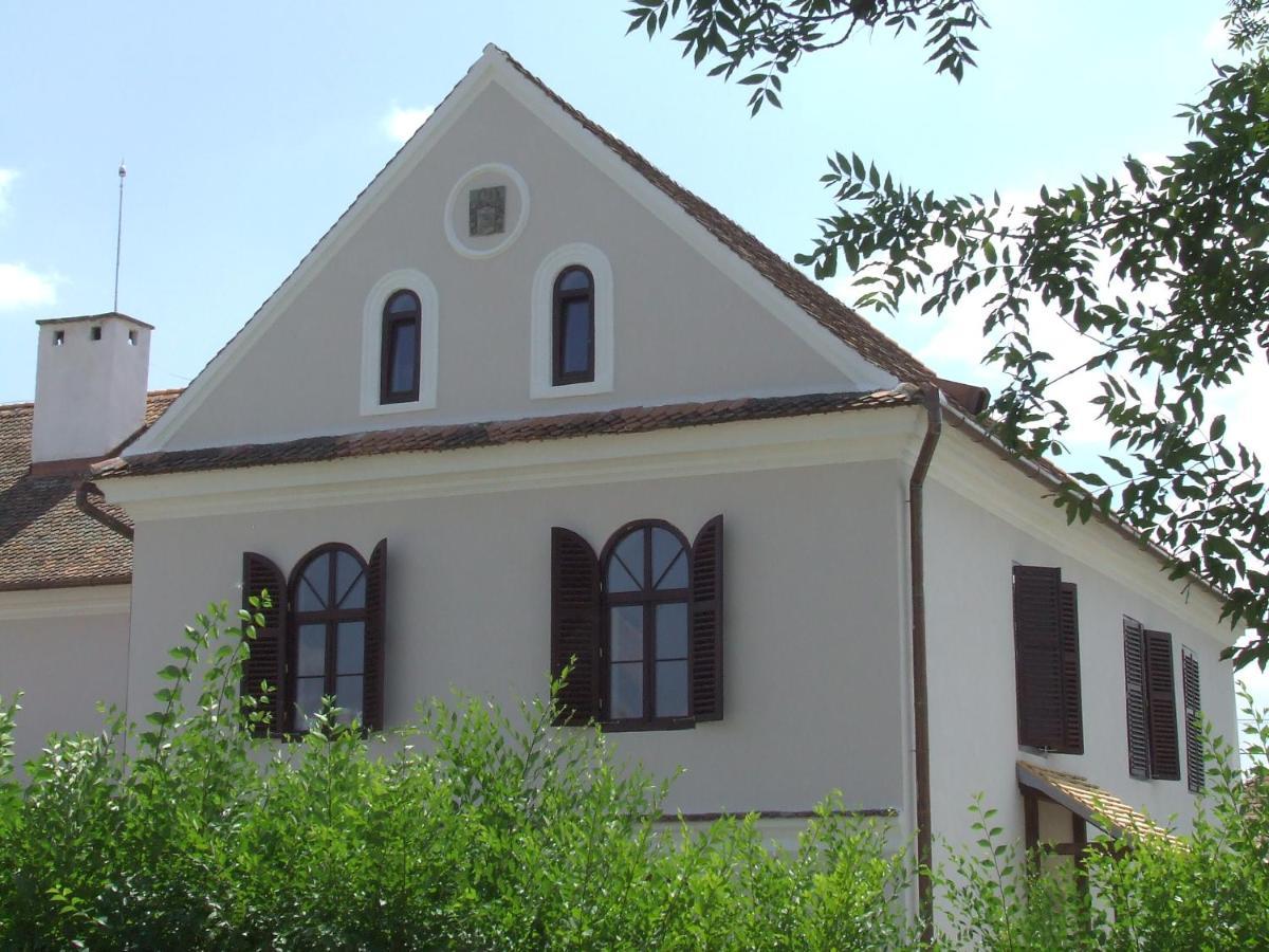 Castle Hotel Daniel Baraolt Dış mekan fotoğraf