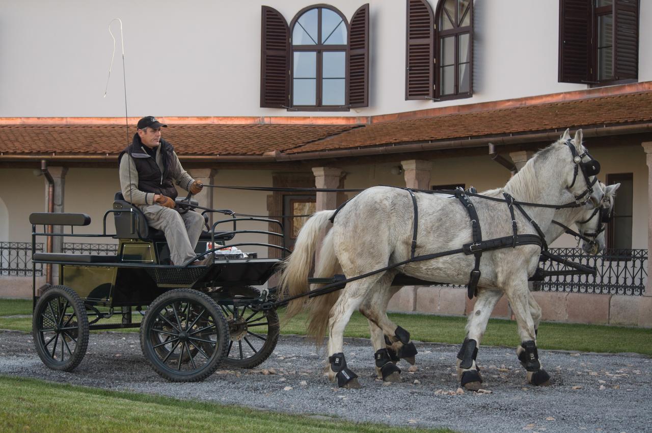 Castle Hotel Daniel Baraolt Dış mekan fotoğraf