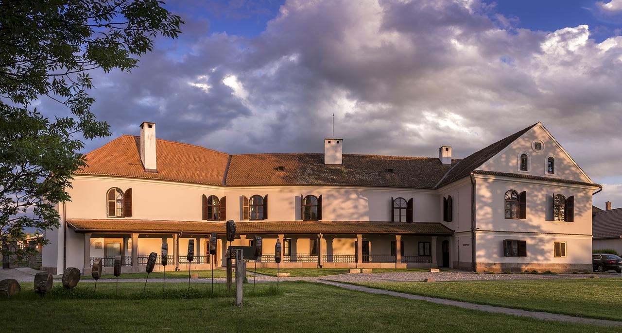 Castle Hotel Daniel Baraolt Dış mekan fotoğraf